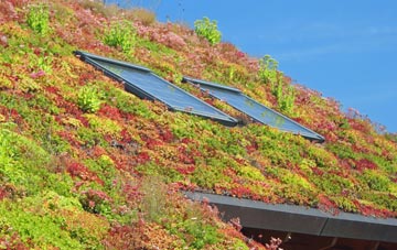 Hardendale living roof systems